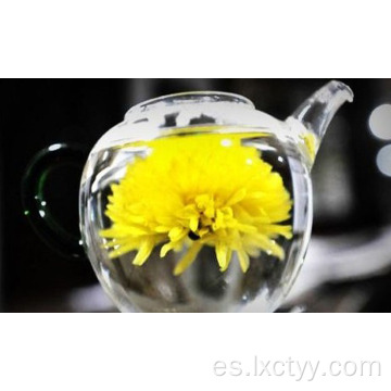 té de flores de crisantemo seco